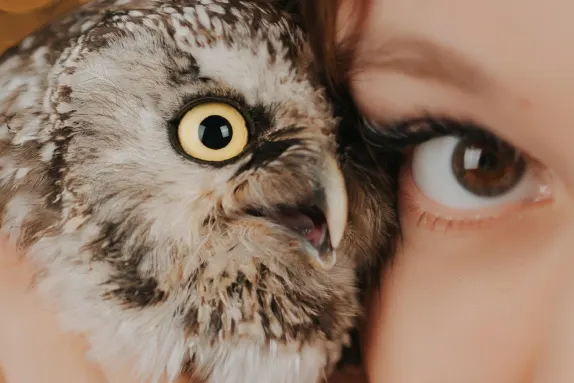 Casino Royal Winner Stuðningur